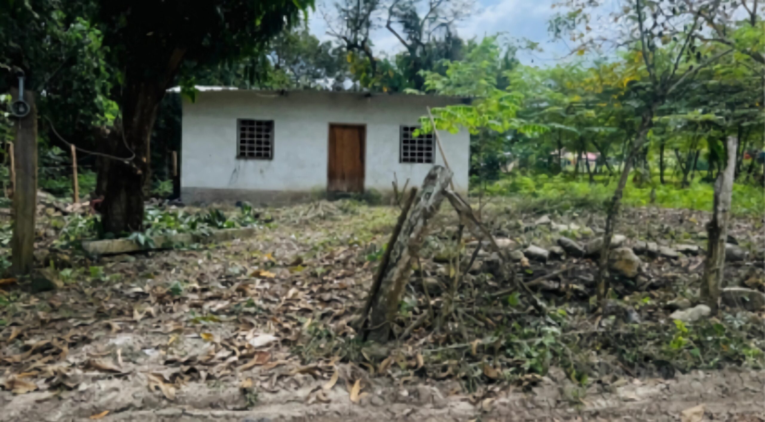 Casa Nueva Arcadia